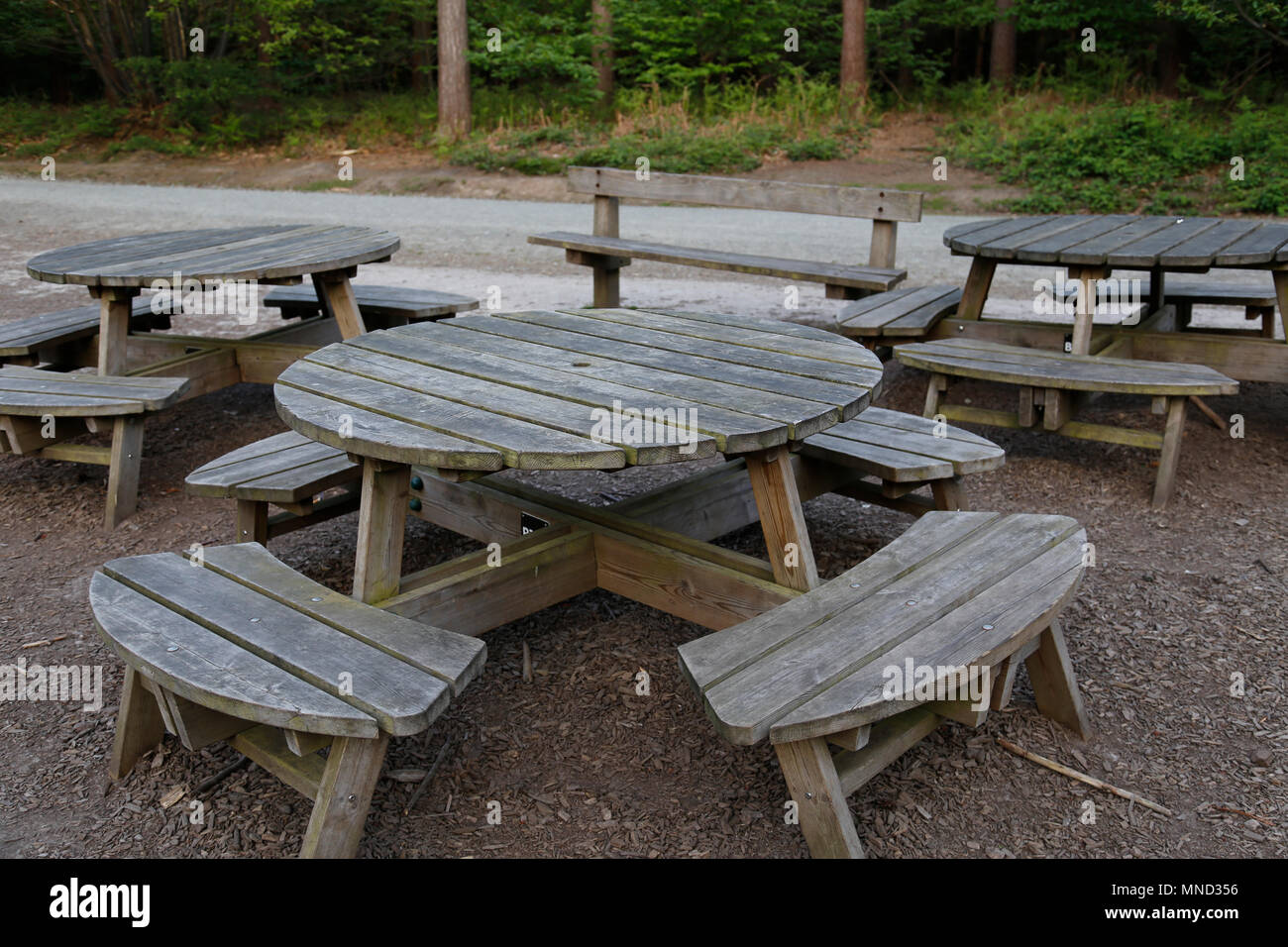 Picknick Bänke im Wald Stockfoto