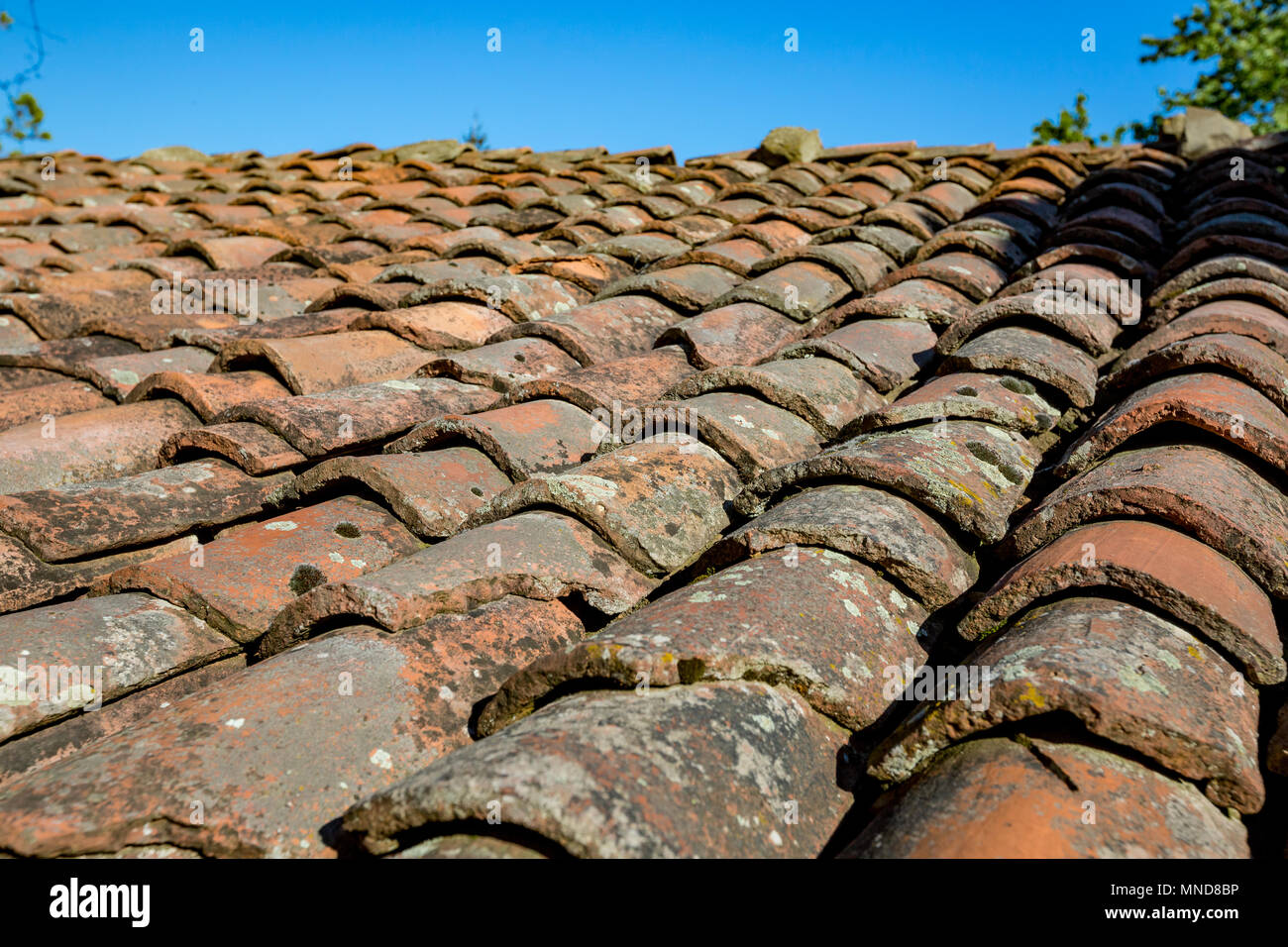 Sehr alte Tonziegel auf ein Dach mit Moos, geringe Tiefenschärfe, südlichen Bulgarien Rhodope Berg Stockfoto