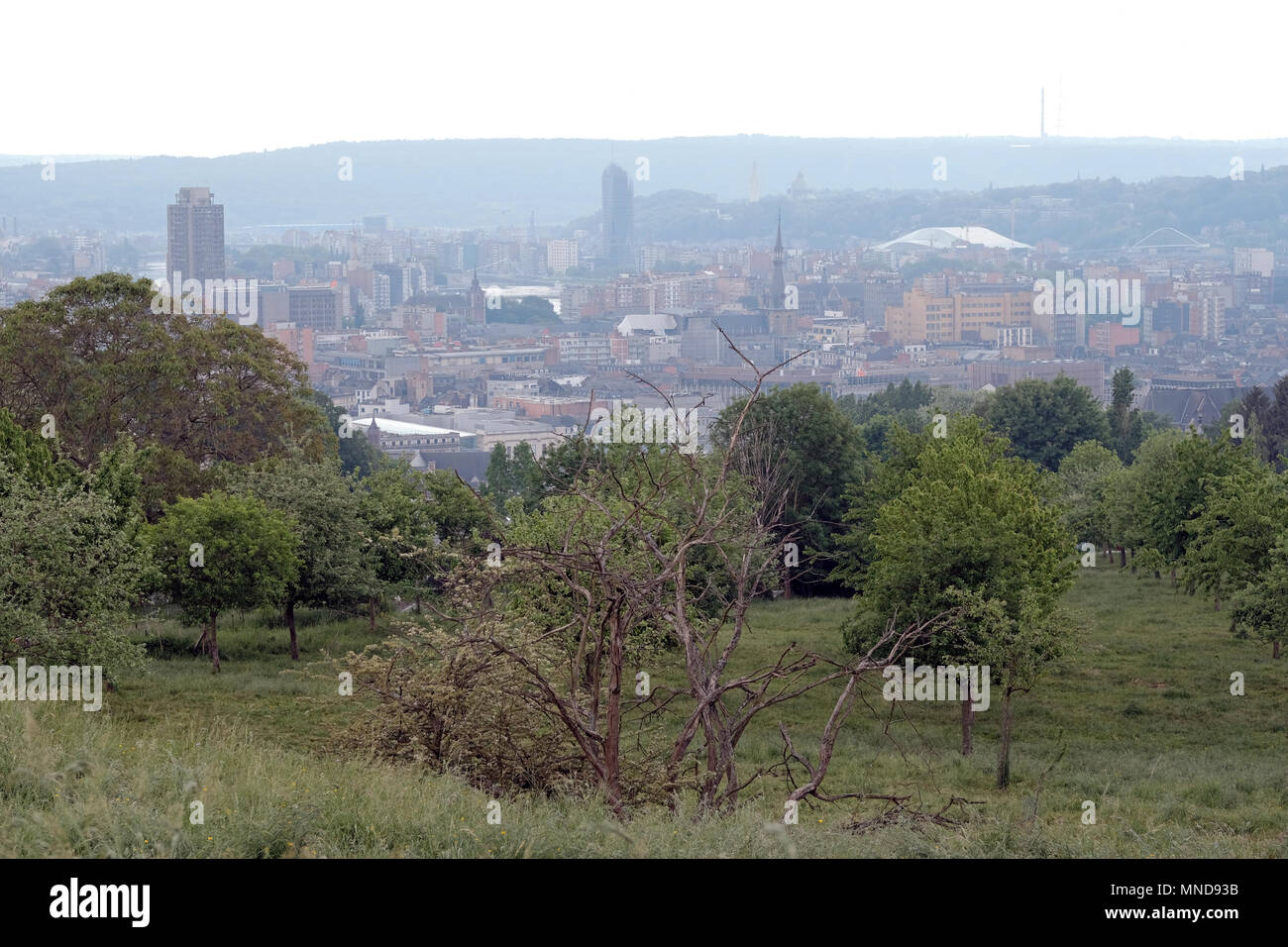 Die Stadt Lüttich, Belgien, auf dem Hügel über der Stadt gesehen Stockfoto