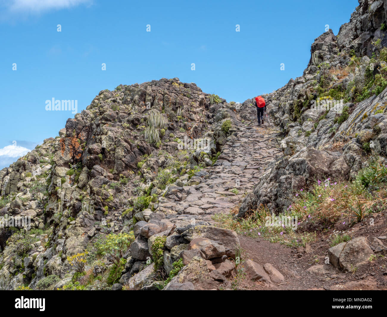 Weibliche walker Verhandlungen über den steilen Rough trails in den Bergen von La Gomera auf den Kanarischen Inseln Stockfoto