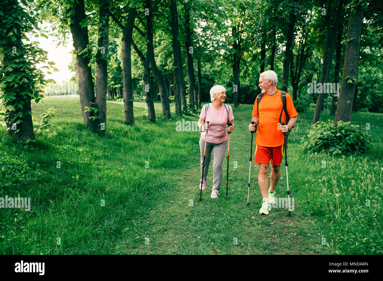 Senior paar Wald zusammen Stockfoto
