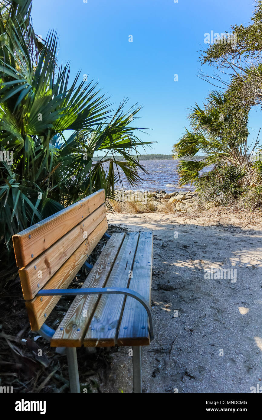 Tomoka State Park In Ormond Beach Florida Stockfoto Bild