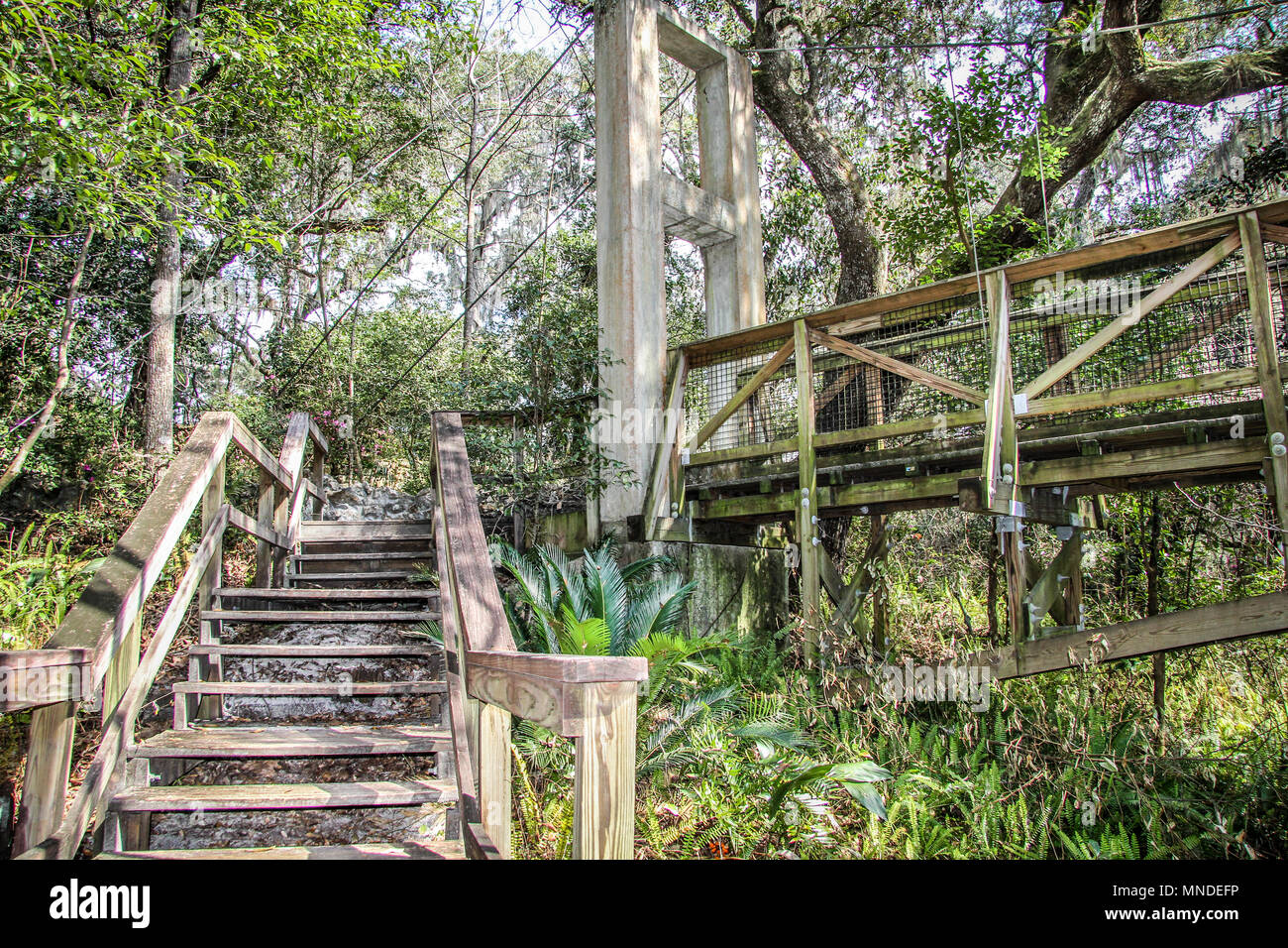 Ravine Gardens State Park In Palatka Florida Stockfoto Bild