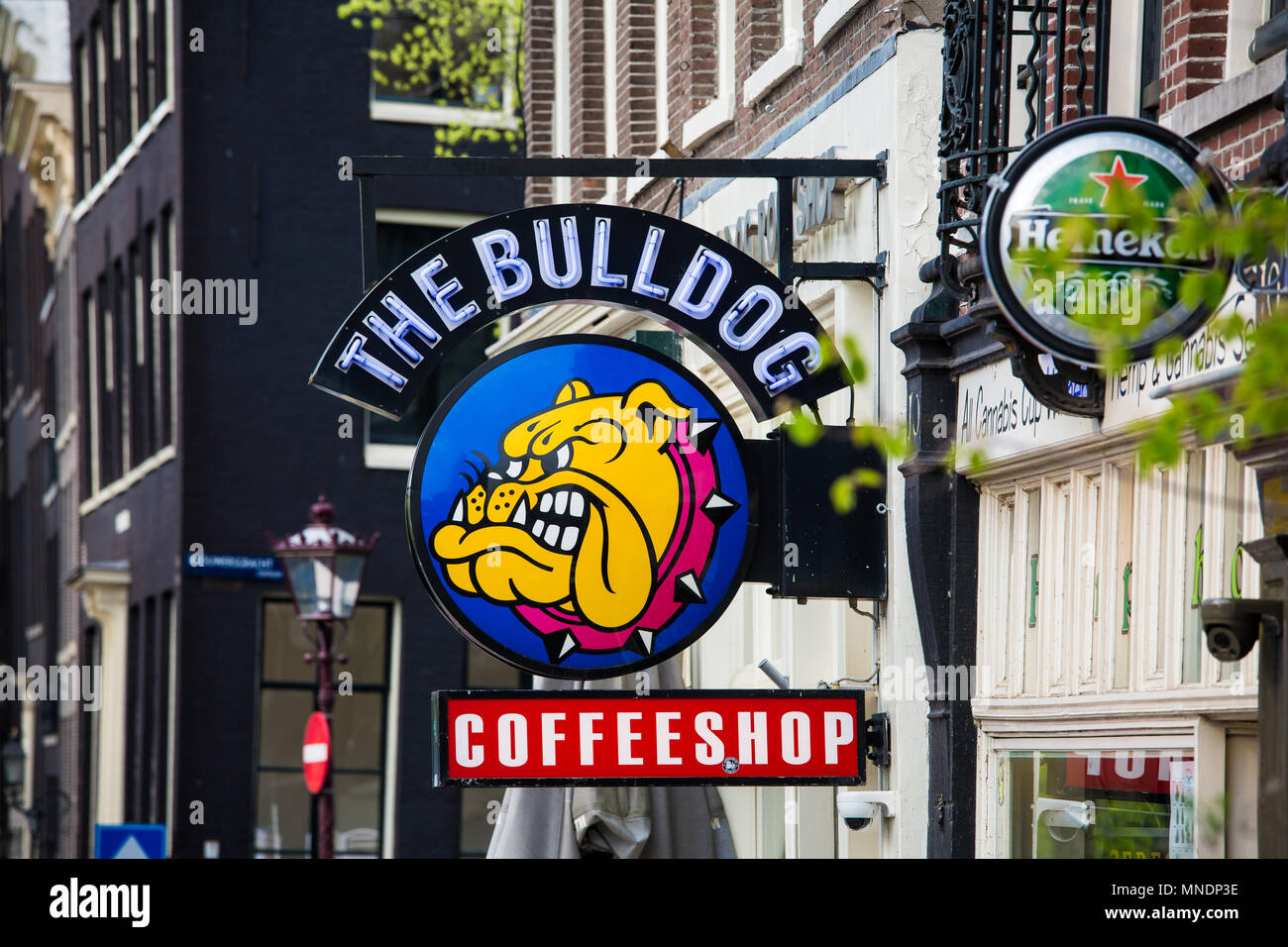 Amsterdam, Niederlande, April, 2018: Der berühmte coffeshop Bulldogge in Amsterdam, Niederlande Stockfoto