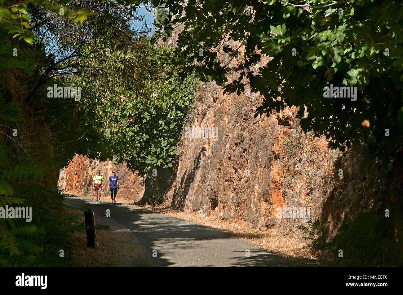 Greenway der Subbetica (alte Bahnlinie der sogenannten "Öl"). Cabra. Provinz Córdoba. Region Andalusien. Spanien. Europa Stockfoto
