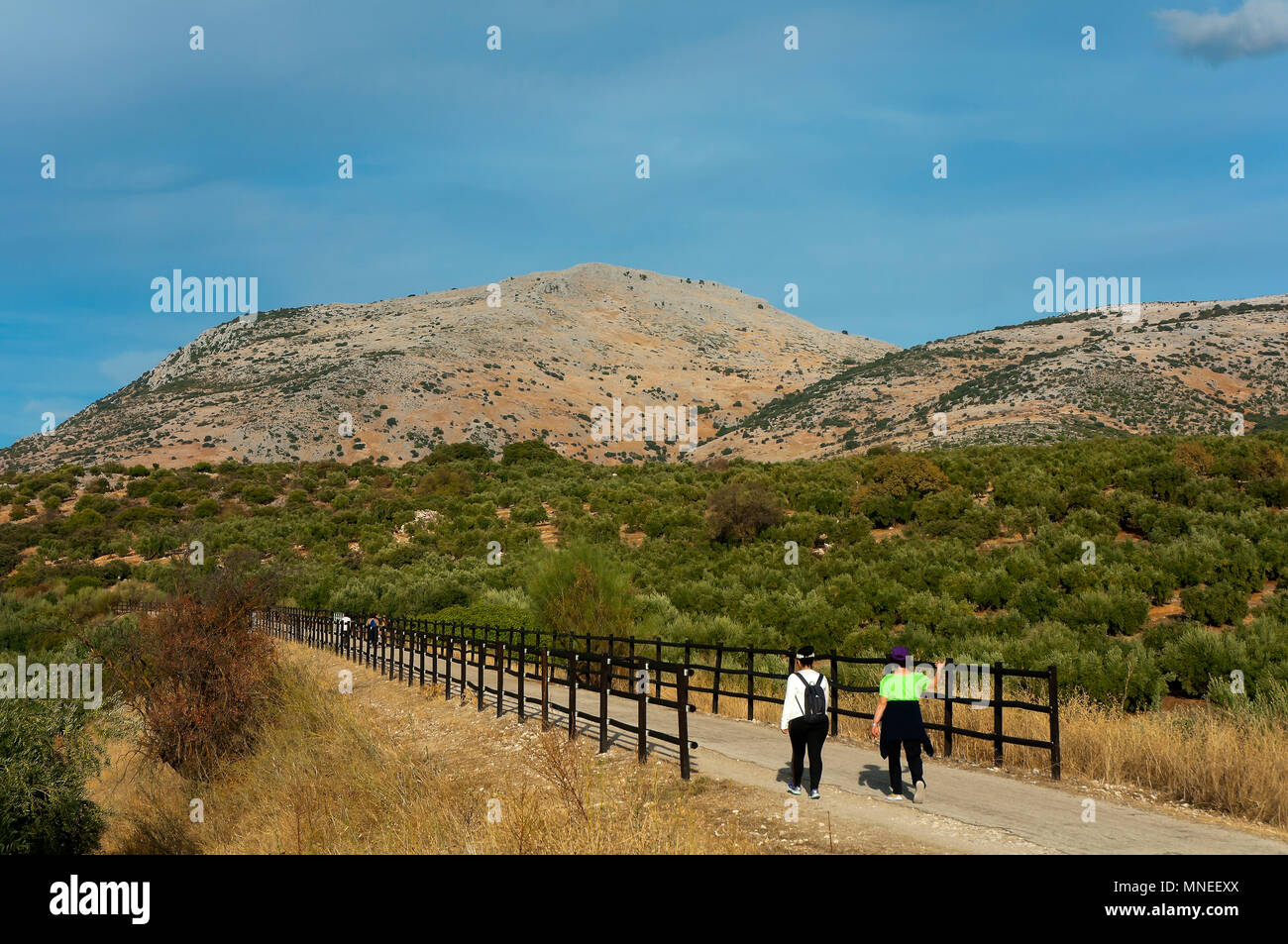Greenway der Subbetica (alte Bahnlinie der sogenannten "Öl"). Cabra. Provinz Córdoba. Region Andalusien. Spanien. Europa Stockfoto