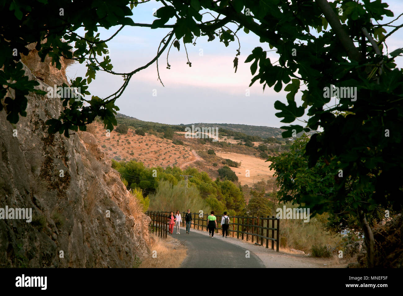 Greenway der Subbetica (alte Bahnlinie der sogenannten "Öl"). Cabra. Provinz Córdoba. Region Andalusien. Spanien. Europa Stockfoto