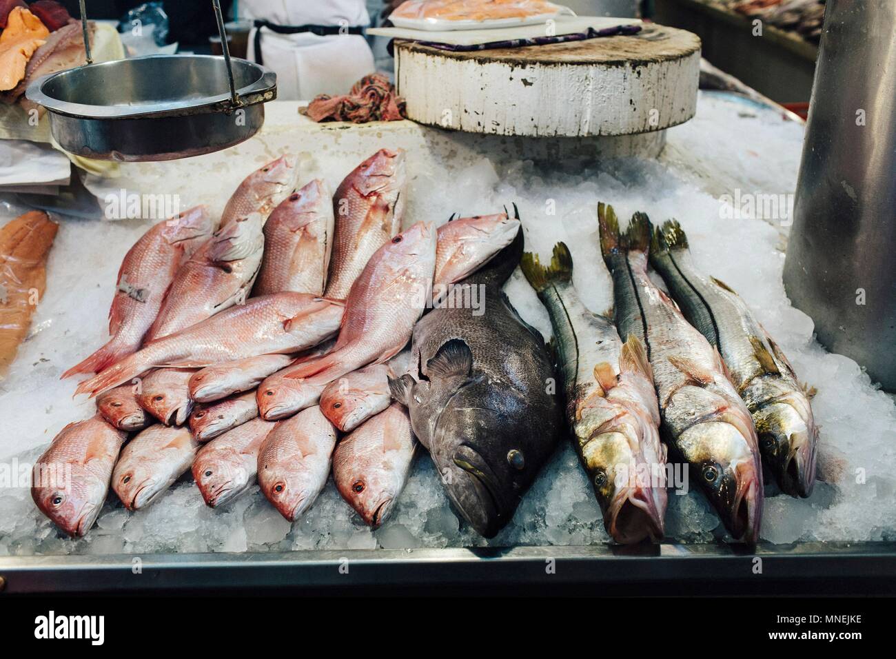 Frischer Fisch auf einem Markt Stockfoto