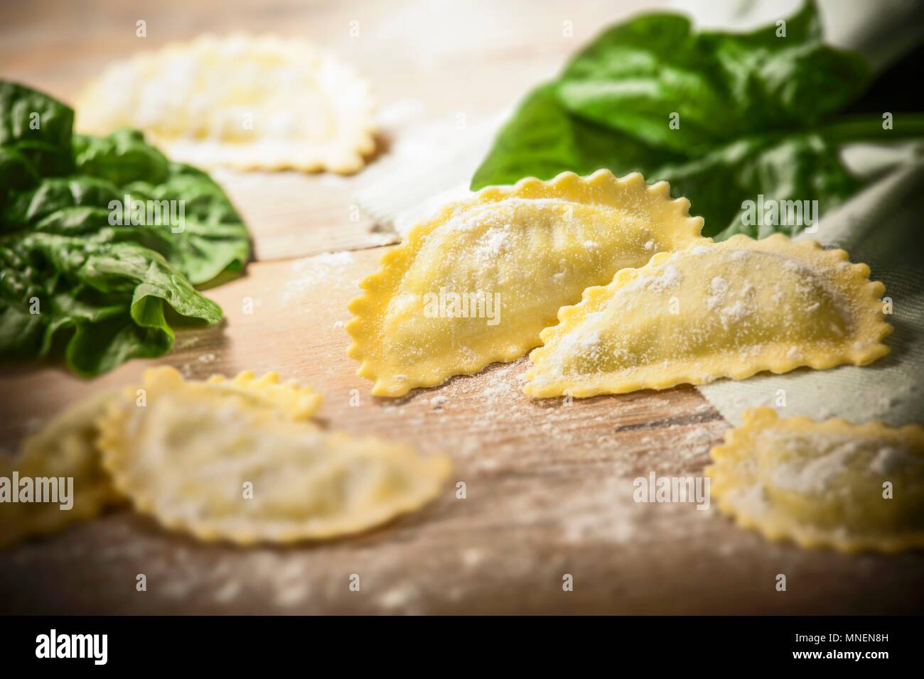 Frische Ravioli mit Ricotta und Spinat gefüllt Stockfoto