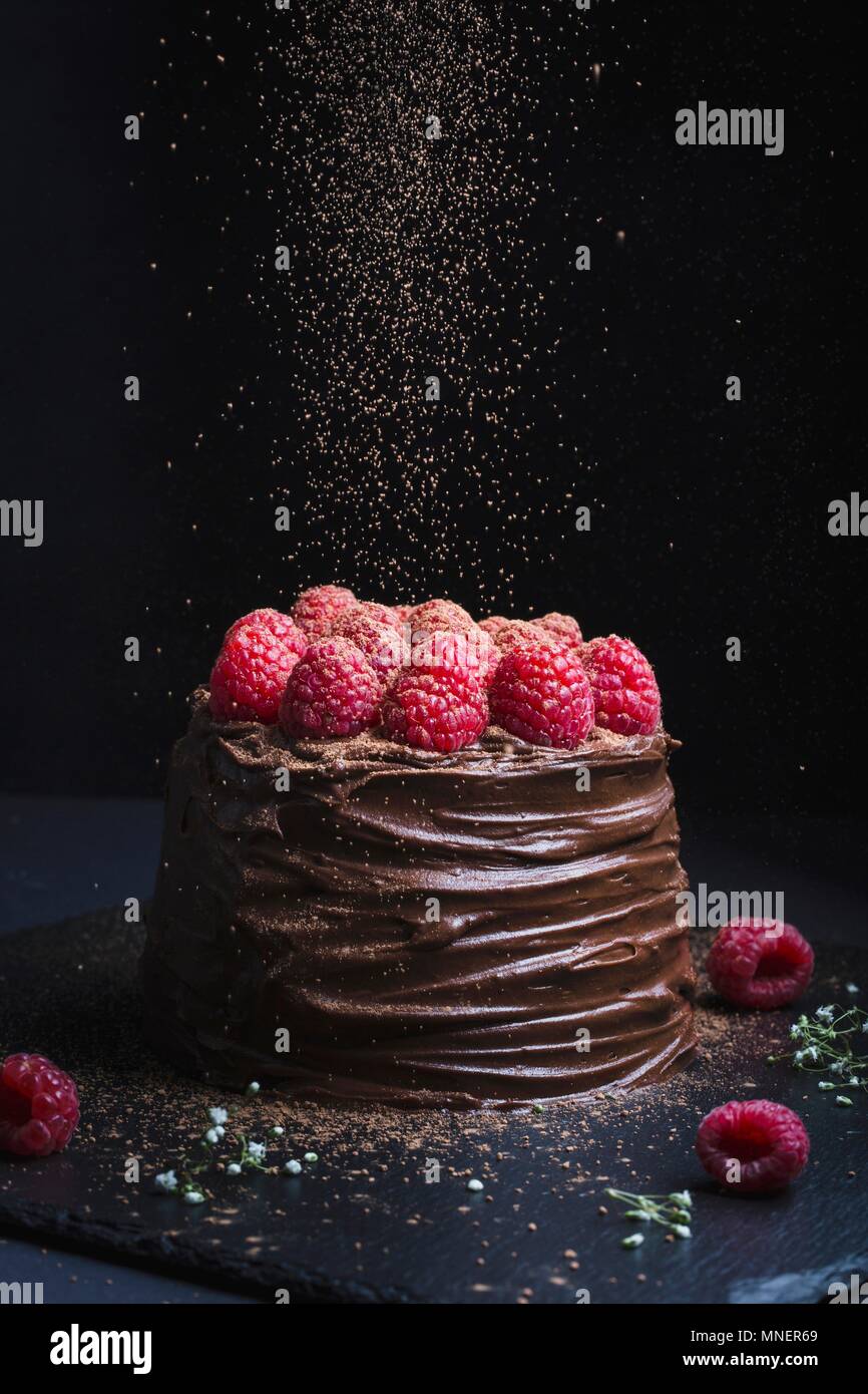 Decadent Schokolade Kuchen gekrönt mit Schokolade und Himbeeren, Puderzucker und Kakao Besprengung in Aktion Stockfoto