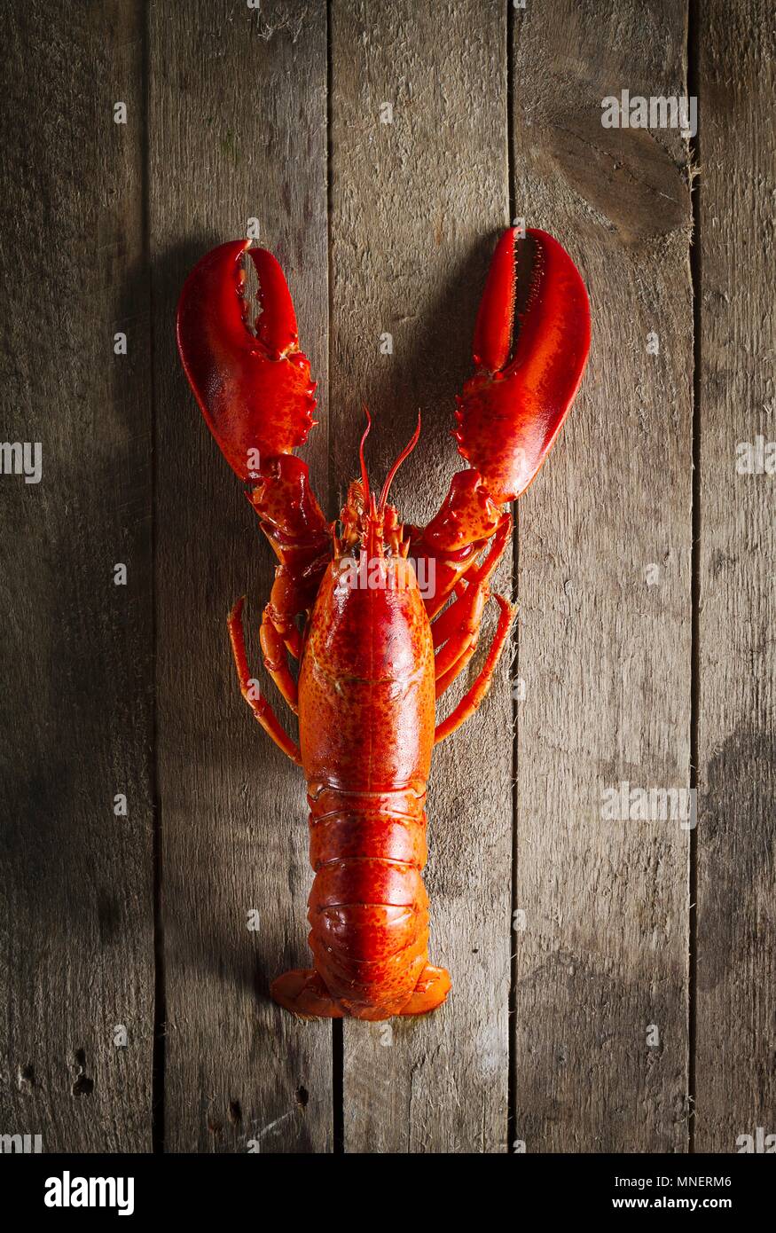 Gekochte Hummer auf einem Holztisch Stockfoto