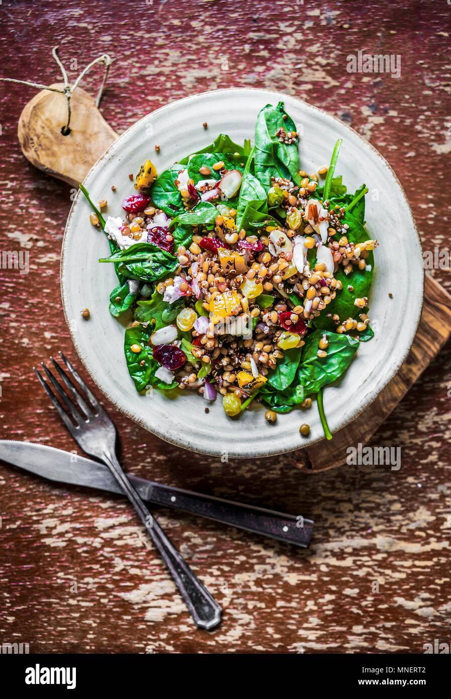Spinatsalat mit Quinoa, Kürbis, Paprika und Tomaten/Paradeiser Stockfoto