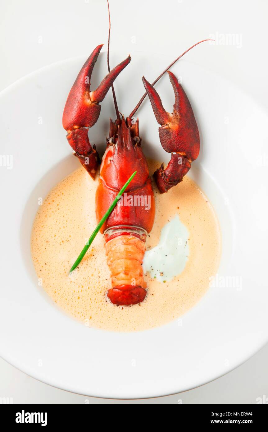 Langusten bisque (Krebssuppe, USA) Stockfoto