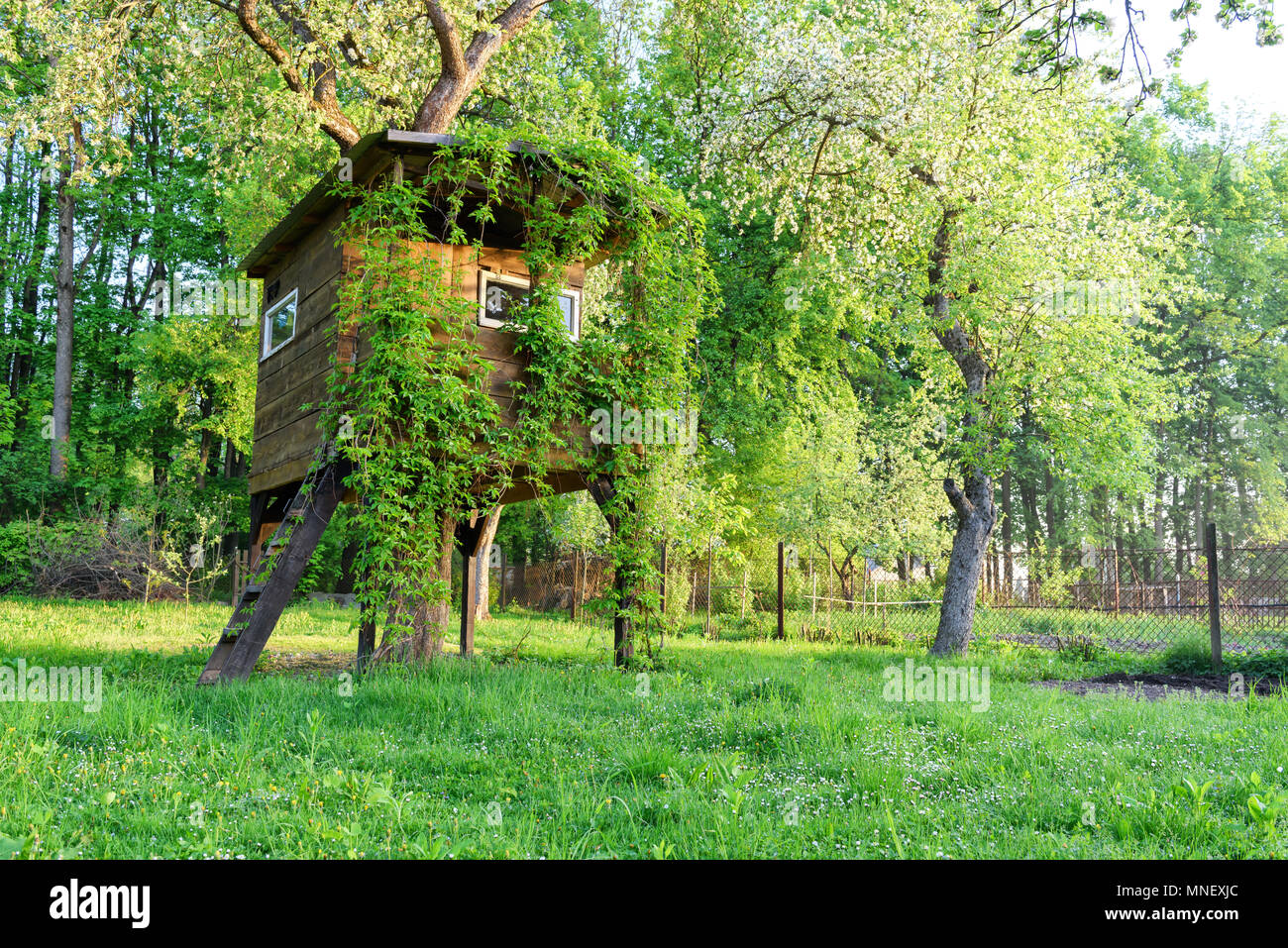 Haus am Baum Stockfoto