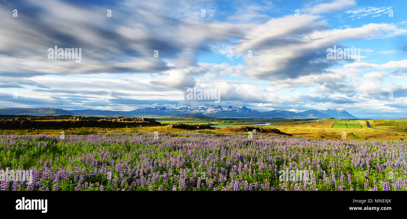 Typische Island Landschaft Stockfoto