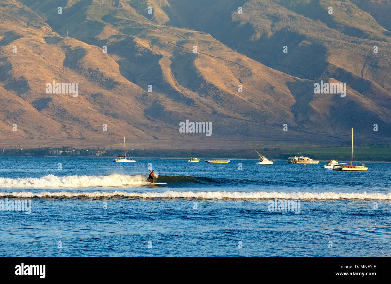 Surfen auf einem Stand up paddleboard in Kihei, Maui, Hawaii. Der West Maui Berge in der Ferne. Stockfoto