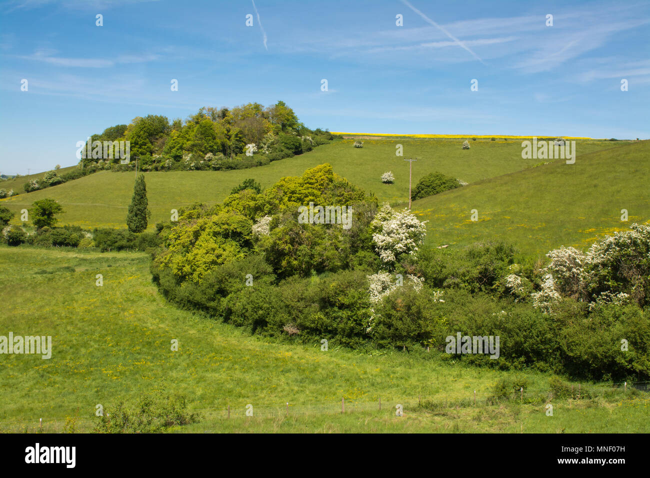 Landschaft Landschaft in der Chiltern Hills Gebiet von außergewöhnlicher natürlicher Schönheit. Blick auf Chalk downland aus Hartslock Nature Reserve South Oxfordshire Stockfoto