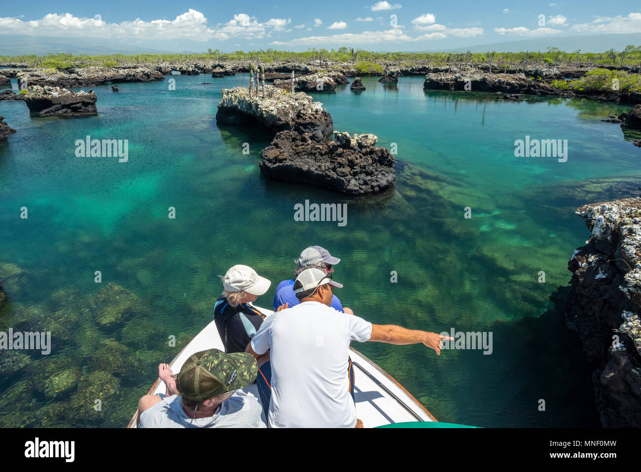 Gruppe am Bug eines Schiffes an der Küste der Insel Isabela, Galapagos, Ecuador. Stockfoto
