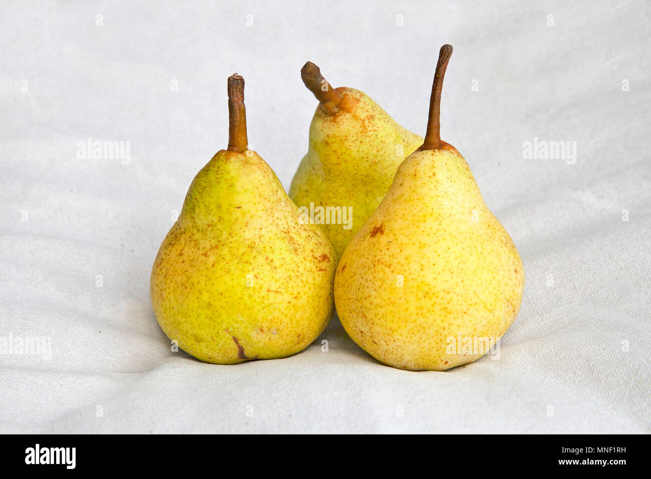Drei gelbe Birnen Stockfoto