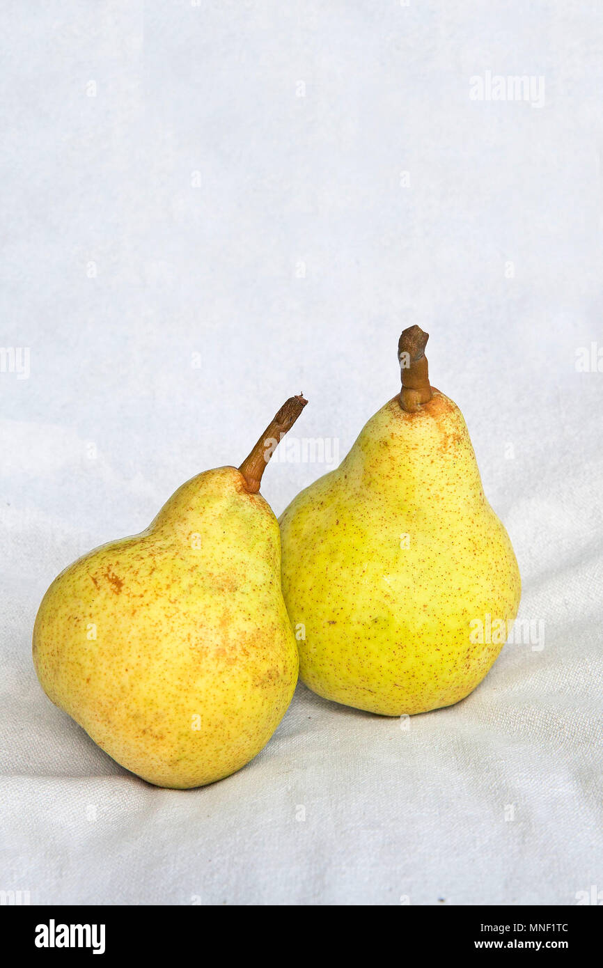 Obst art -Fotos und -Bildmaterial in hoher Auflösung – Alamy Obst art -Fotos und -Bildmaterial in hoher Auflösung – Alamy