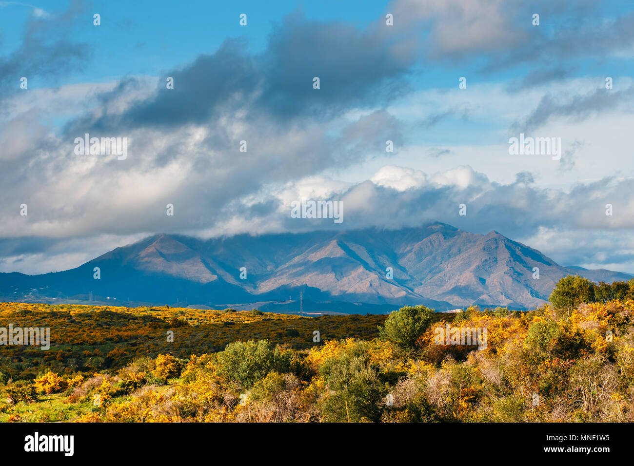 Die schöne Landschaft der Sierra Crestelina in Andalusien, Spanien Stockfoto