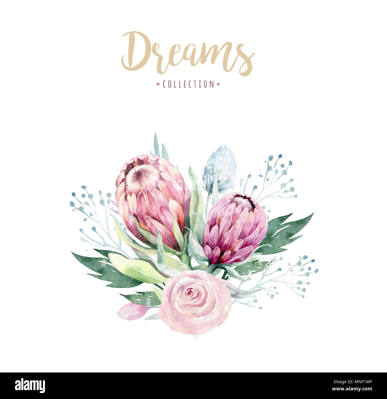 Handzeichnung isoliert Aquarell blumen Abbildung mit Protea Rose, Blätter, Zweige und Blüten. Böhmisches gold crystal Frame. Elemente für greetin Stockfoto
