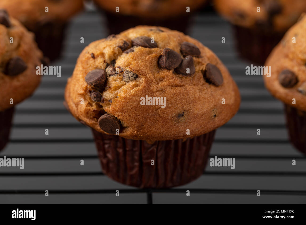 Chocolate Chip Muffins Stockfoto