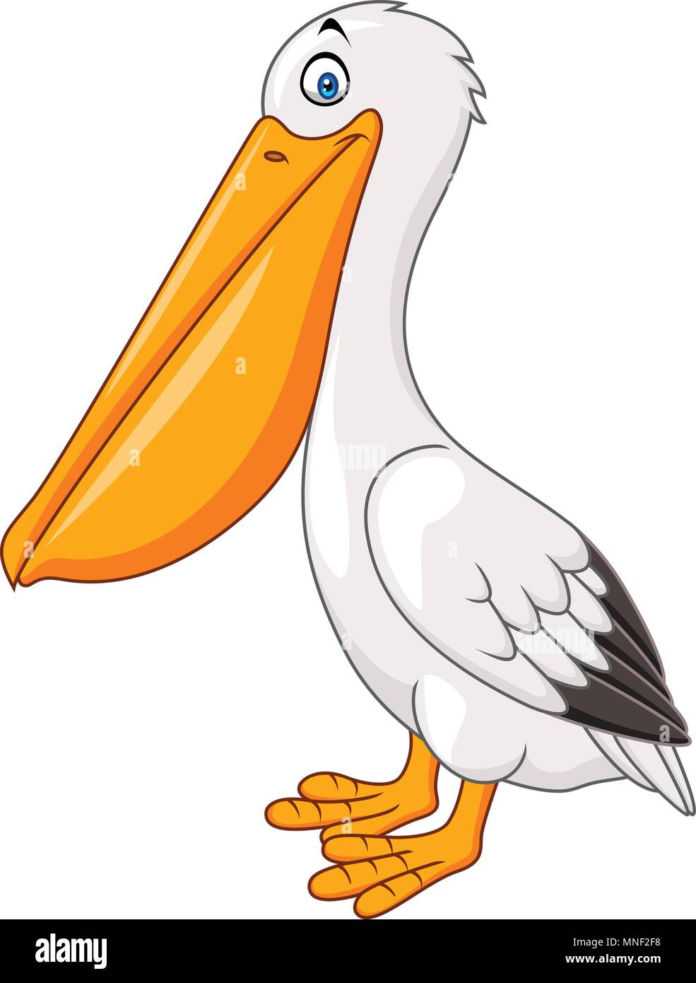 Cartoon Pelikan auf weißem Hintergrund Stock Vektor