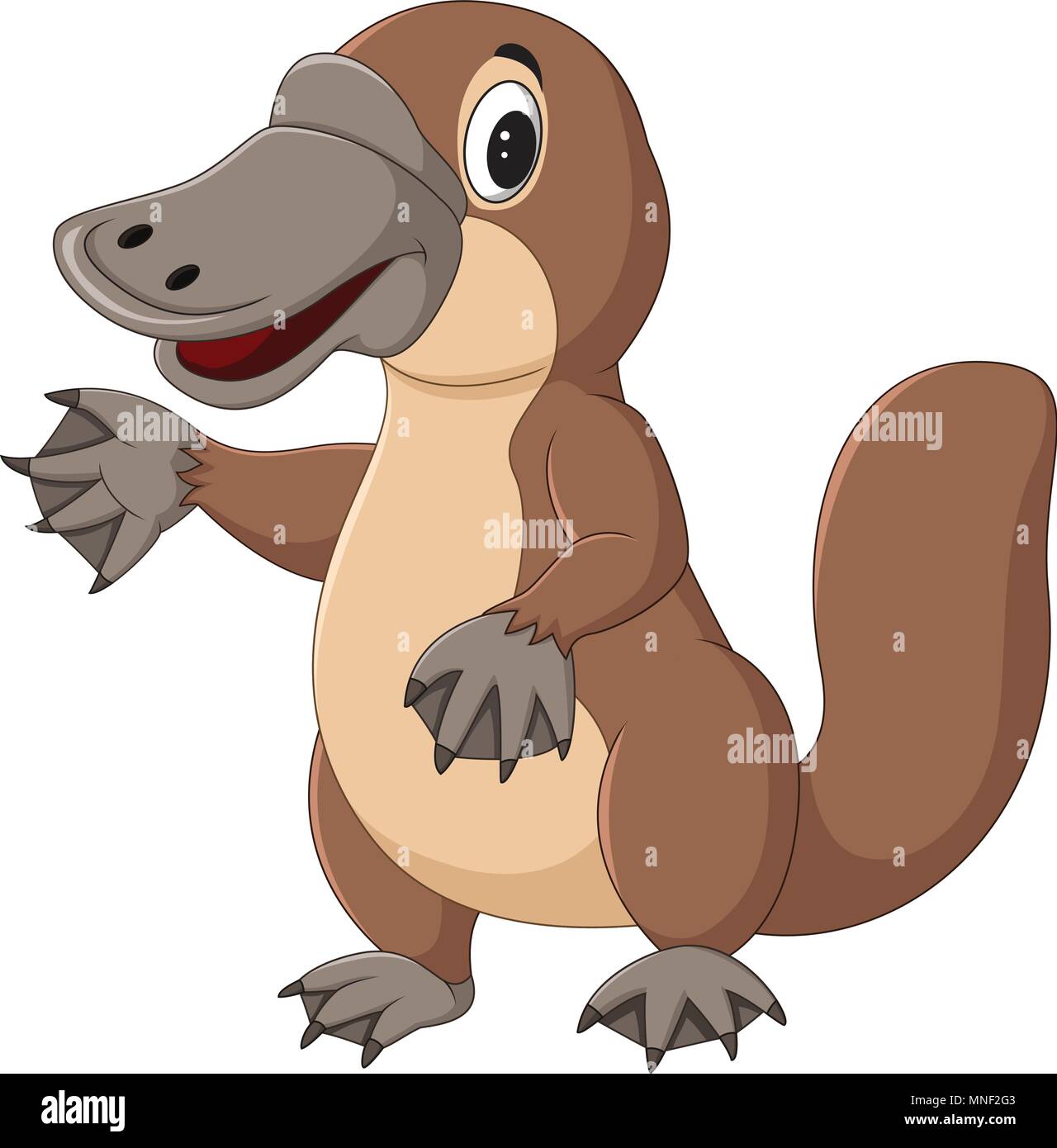 Cartoon Schnabeltier Auf Weissem Hintergrund Stock Vektorgrafik Alamy