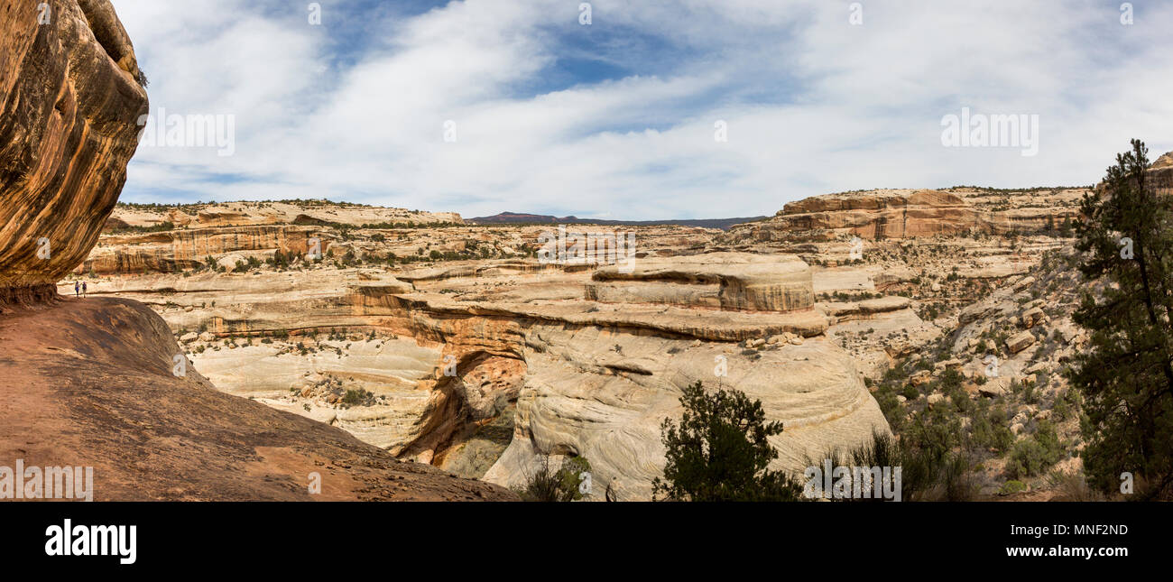 Panorama der Wanderer, Sipapu Bridge, und Landschaft im Natural Bridges National Monument, Utah Stockfoto