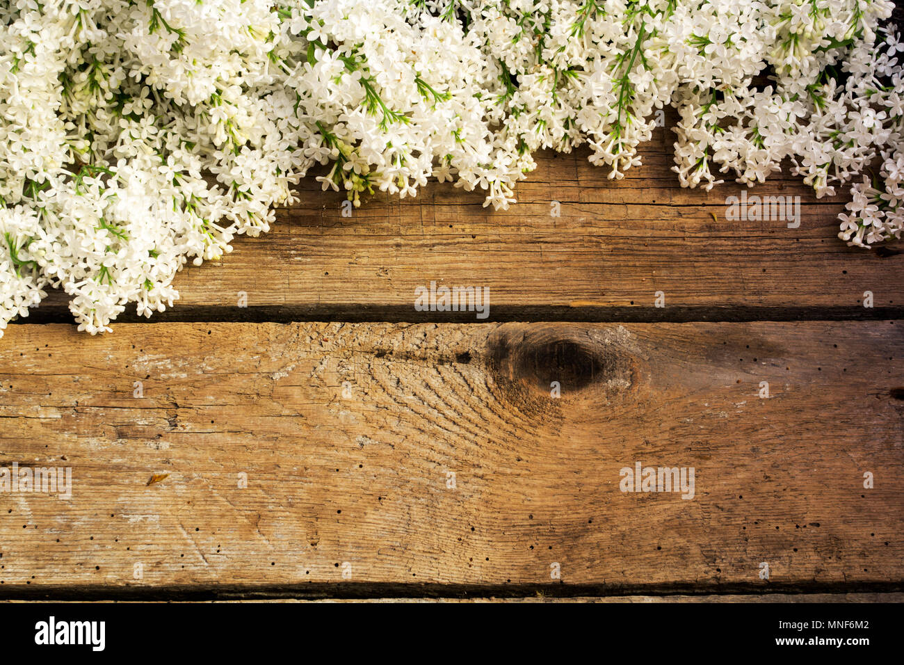 Weiß lila Blumen auf Holztisch. Kopieren Sie Platz. Ansicht von oben. Stockfoto