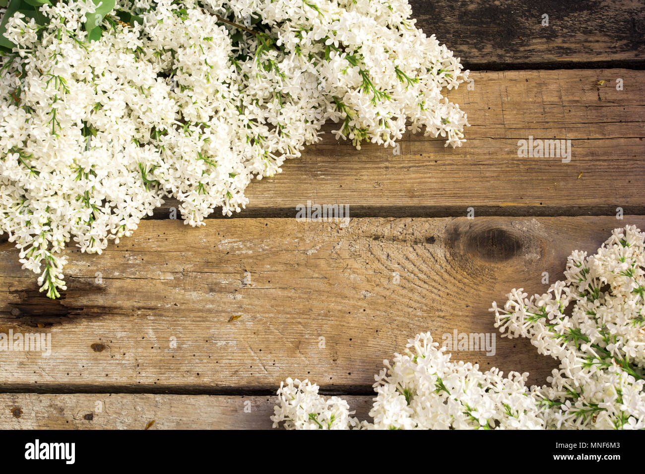 Weiß lila Blumen auf Holztisch. Kopieren Sie Platz. Ansicht von oben. Stockfoto