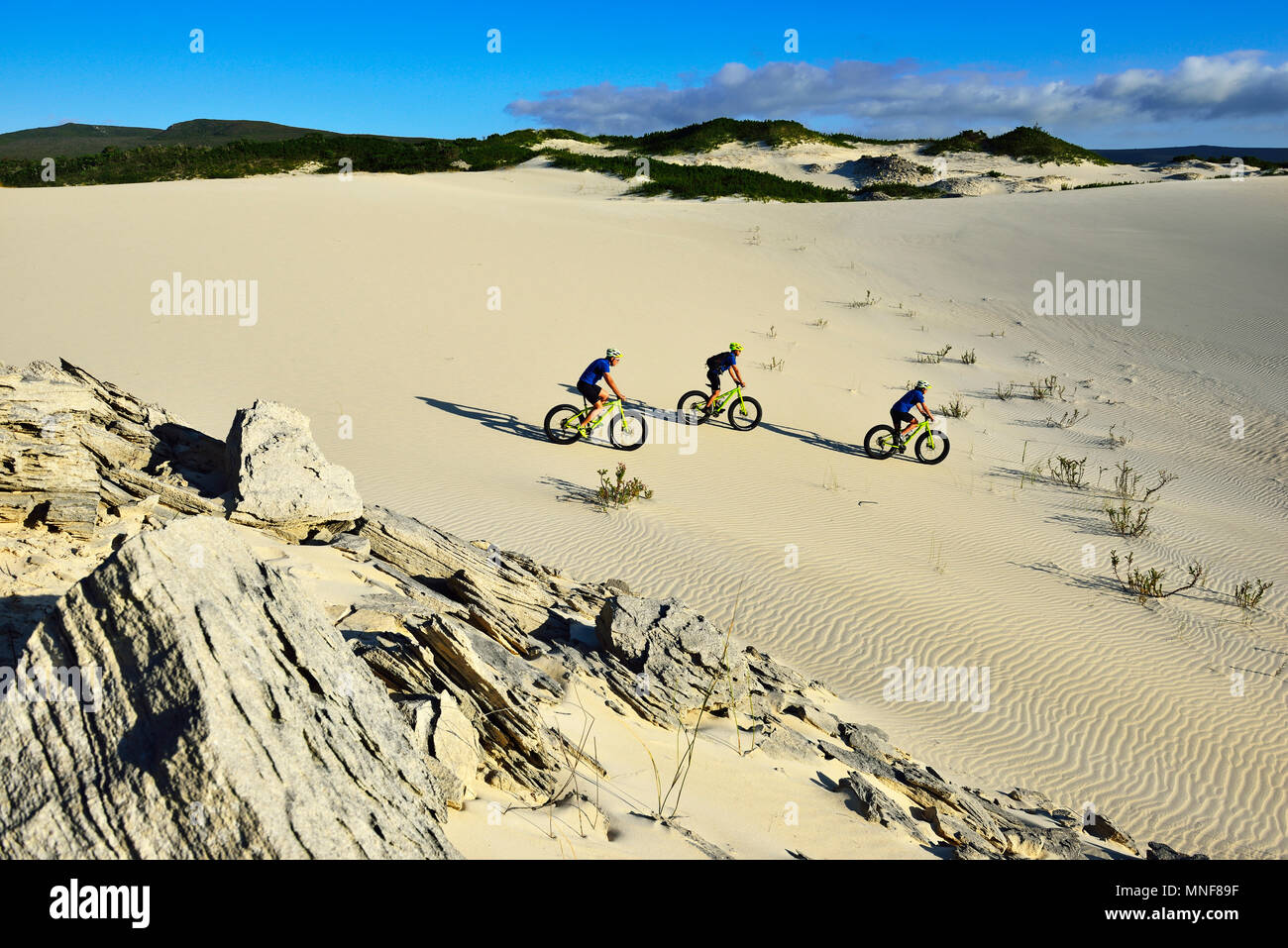 Mountainbiker auf Sanddünen, Radtour mit Fett Fahrräder bei Plaat Strand, Naturschutzgebiet, De Kelders, Gansbaai Sterben Stockfoto