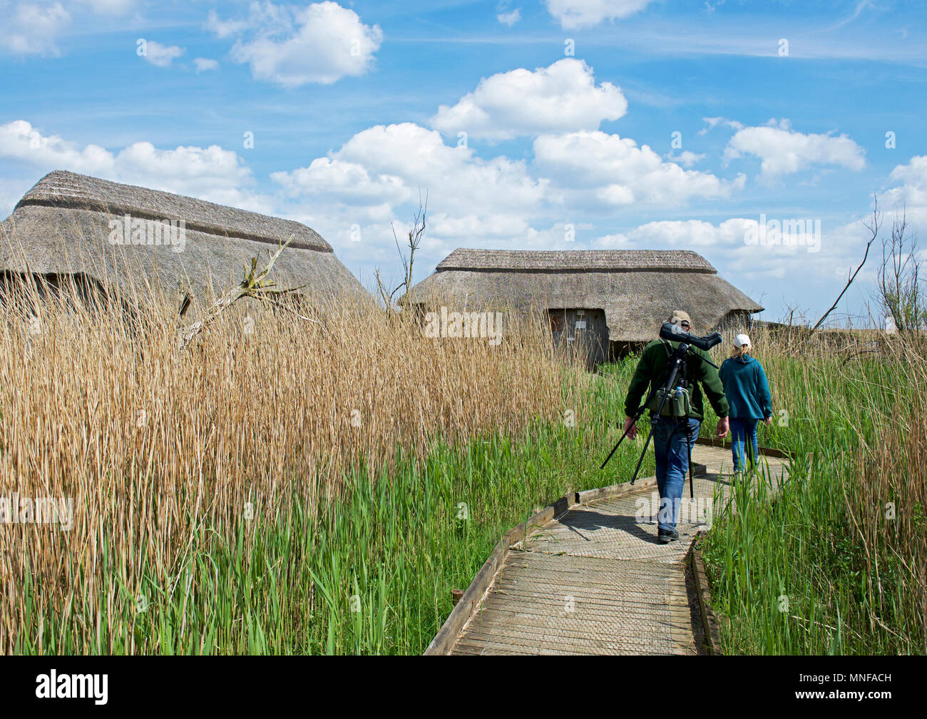 Vogelbeobachter und Verstecken, Cley Sümpfe Naturschutzgebiet, North Norfolk, England Großbritannien Stockfoto