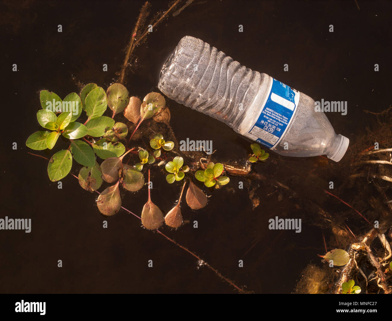 Es Einfach wegwerfen. Was mit all den Papierkorb zu tun. Verletzt das Auge als Menschen nur werfen Sie sie weg. Es ist nicht natürlich Stockfoto