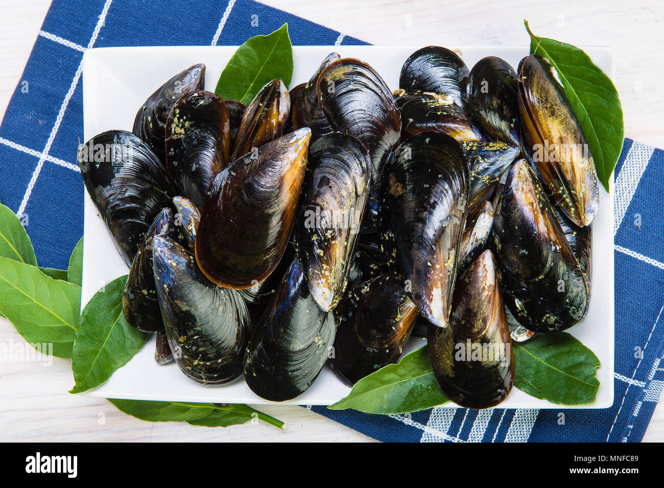 Frisch und lebendig Muscheln für gereinigt Kochen und fertig gedämpft werden Stockfoto