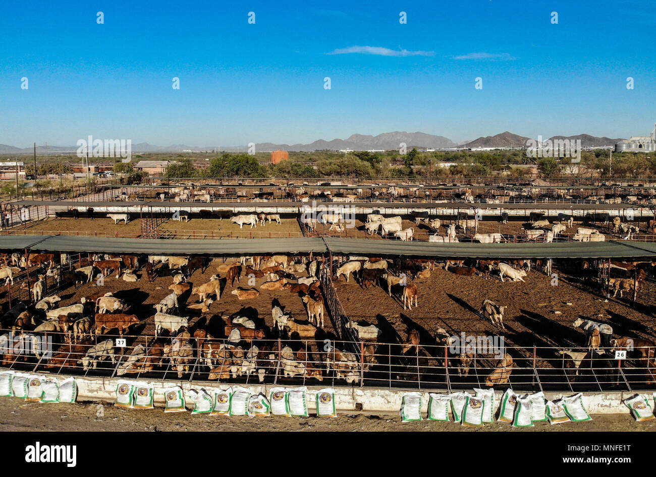 Luftaufnahme des Rodeo Arena, Fahrten und Anlagen und Gehege der Expo oder Ganadera de Sonora Mexiko fair (UGRS). Hermosillo Sonora. Stockfoto
