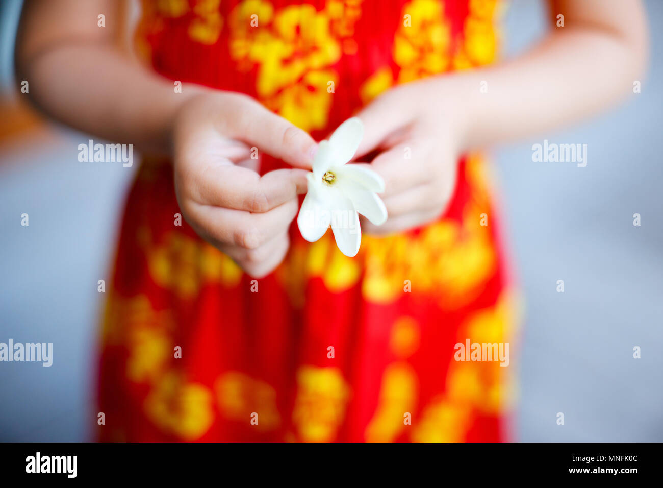 In der Nähe von Little girl Holding tahitian tiare Blume Stockfoto