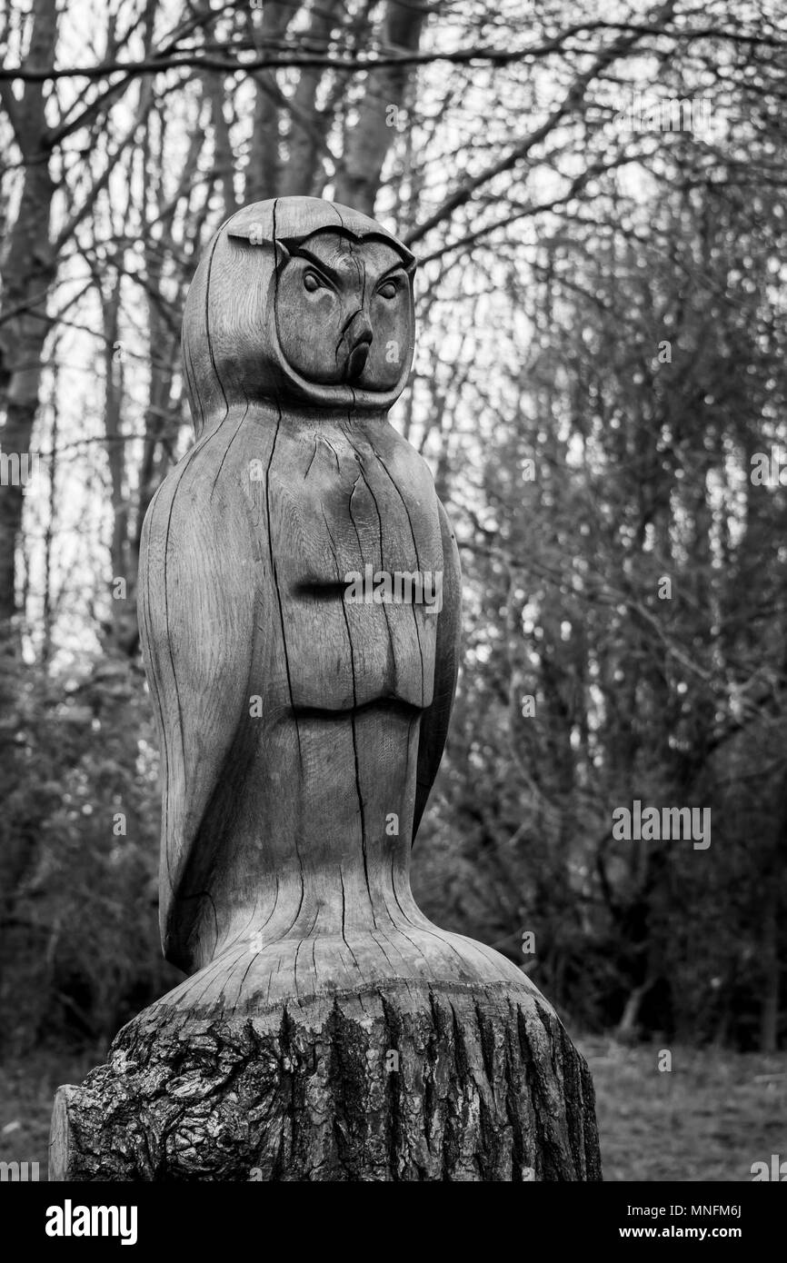 Eine aus Holz geschnitzte Eule in Plessey Holz natur park in Bedlington, Northumberland Stockfoto