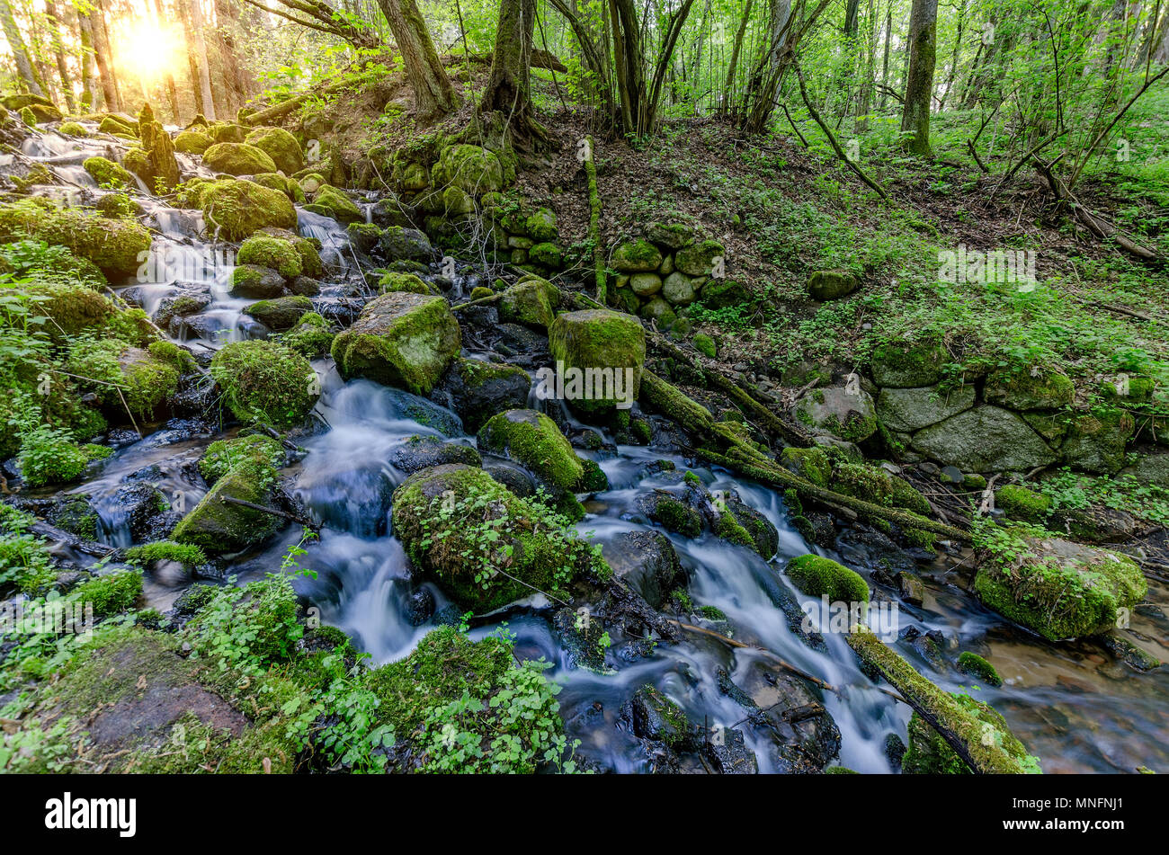 Bleibt der Gromel Mühle, Mitte - Wald Wasserfall in der Nähe von Olsztynek, ermland - masuren Provinz, Polen. Stockfoto
