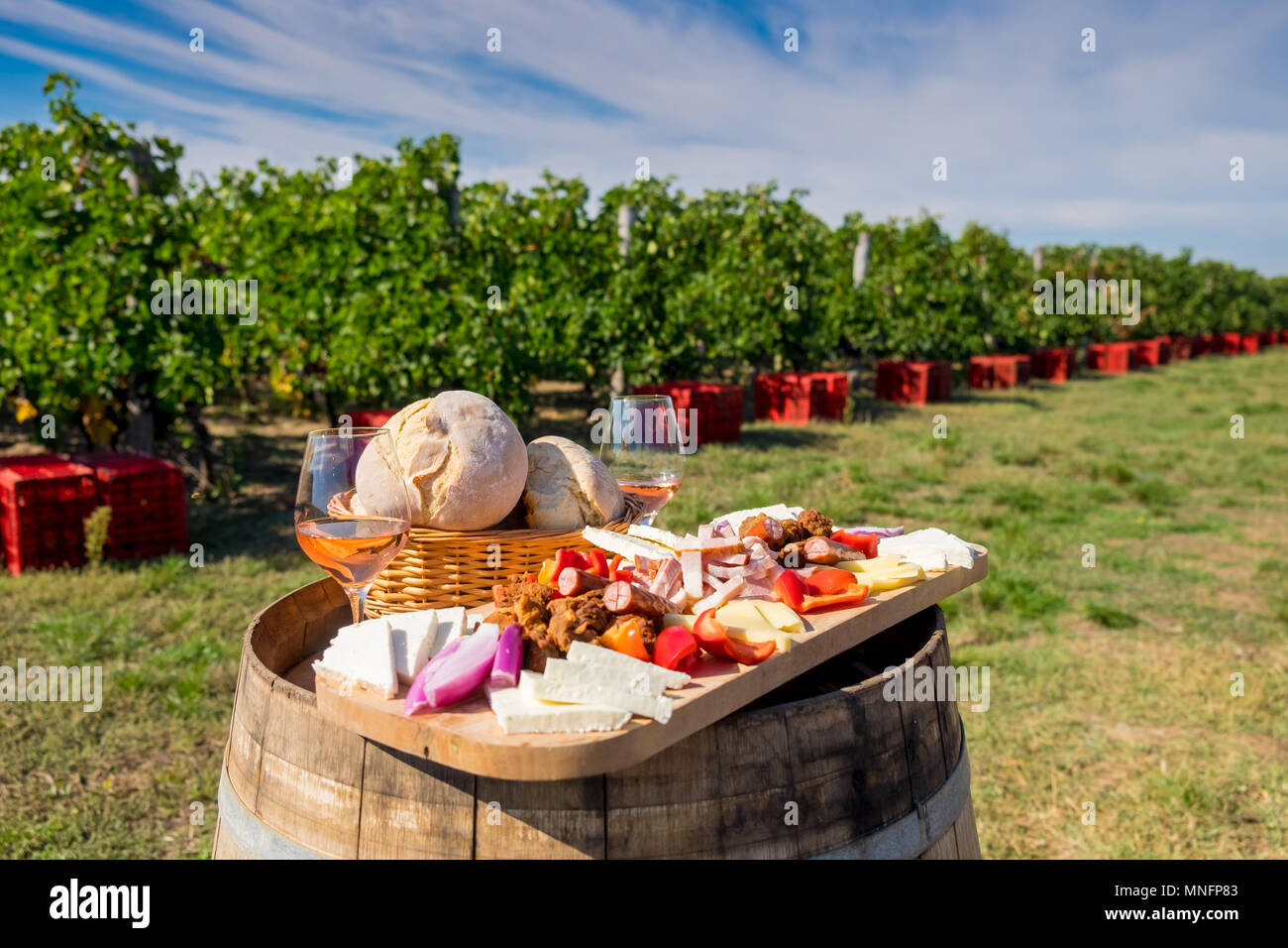 Traditionelle rumänische Küche Teller mit Wein und Weinberge im Hintergrund. Käse, Brot, Wurst, Zwiebeln und roter Wein im Glas Stockfoto