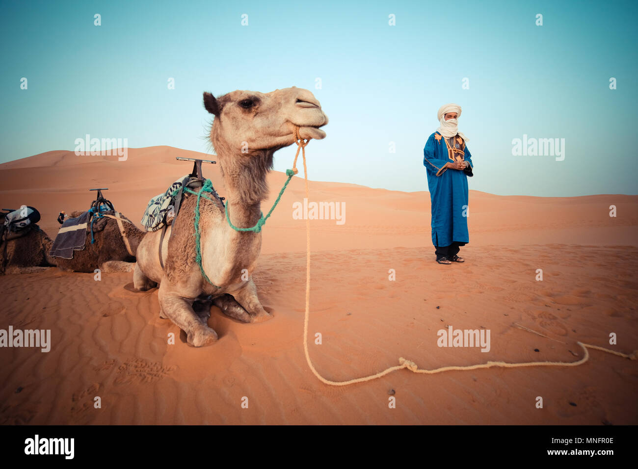 SAHARA, Marokko, Juni 2016: Berber in traditioneller Kleidung mit Kamel in täglichen Fahrten mit Touristen in der Wüste Stockfoto