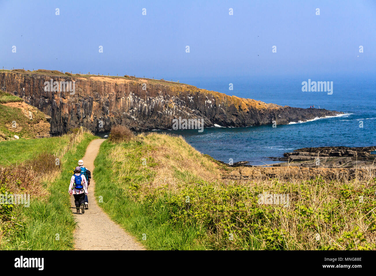 Paar Wandern entlang der Küste von Northumberland Pfad zwischen Howick und Craster an einem sonnigen Tag im Mai 2018. Stockfoto