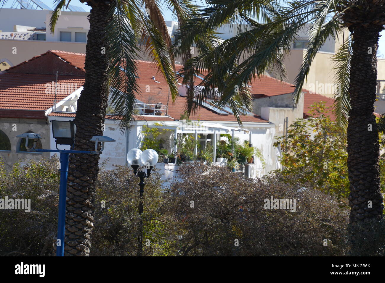 Ein morgendlicher Ausflug in die südliche Wanderung in Tel Aviv. Die Einführung ist vor allem in der Jaffa-Gegend und auf dem Weg findet neben Landschaften zum Meer als auch Stockfoto