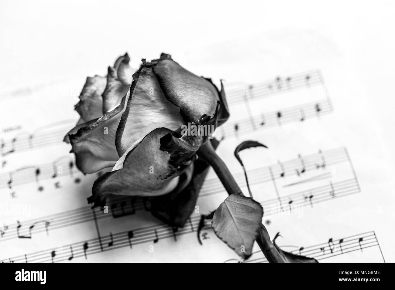 Musik- und Toten. Die Idee, das Konzept für die Liebe zur Musik für musikalische Inspiration. Stockfoto