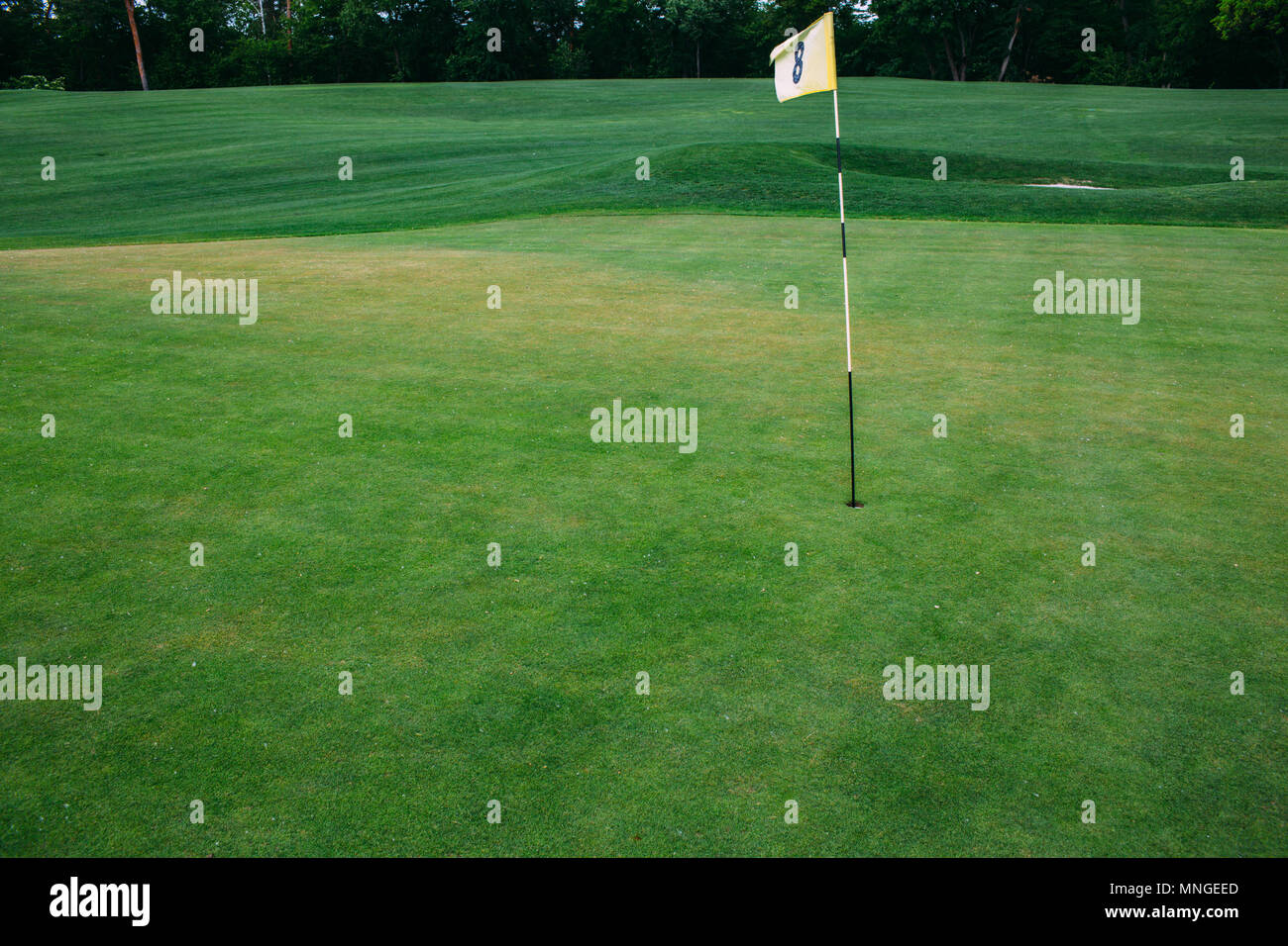 Golfplatz und Golf Flagge Stockfoto