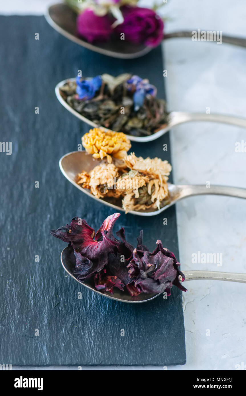 Verschiedene Arten von Tee. Grüner Tee Tee Matcha karkade Blume in Löffel. Stockfoto