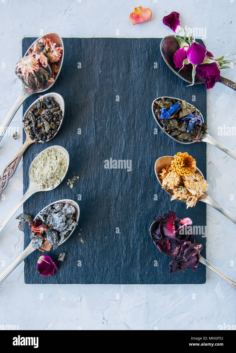 Verschiedene Arten von Tee. Grüner Tee Tee Matcha karkade Blume in Löffel. Stockfoto