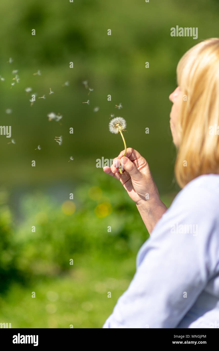 Frau mit blonden Haaren samen Blasen in die Luft ein Löwenzahn puff - Kugel an einem sonnigen Tag. Stockfoto