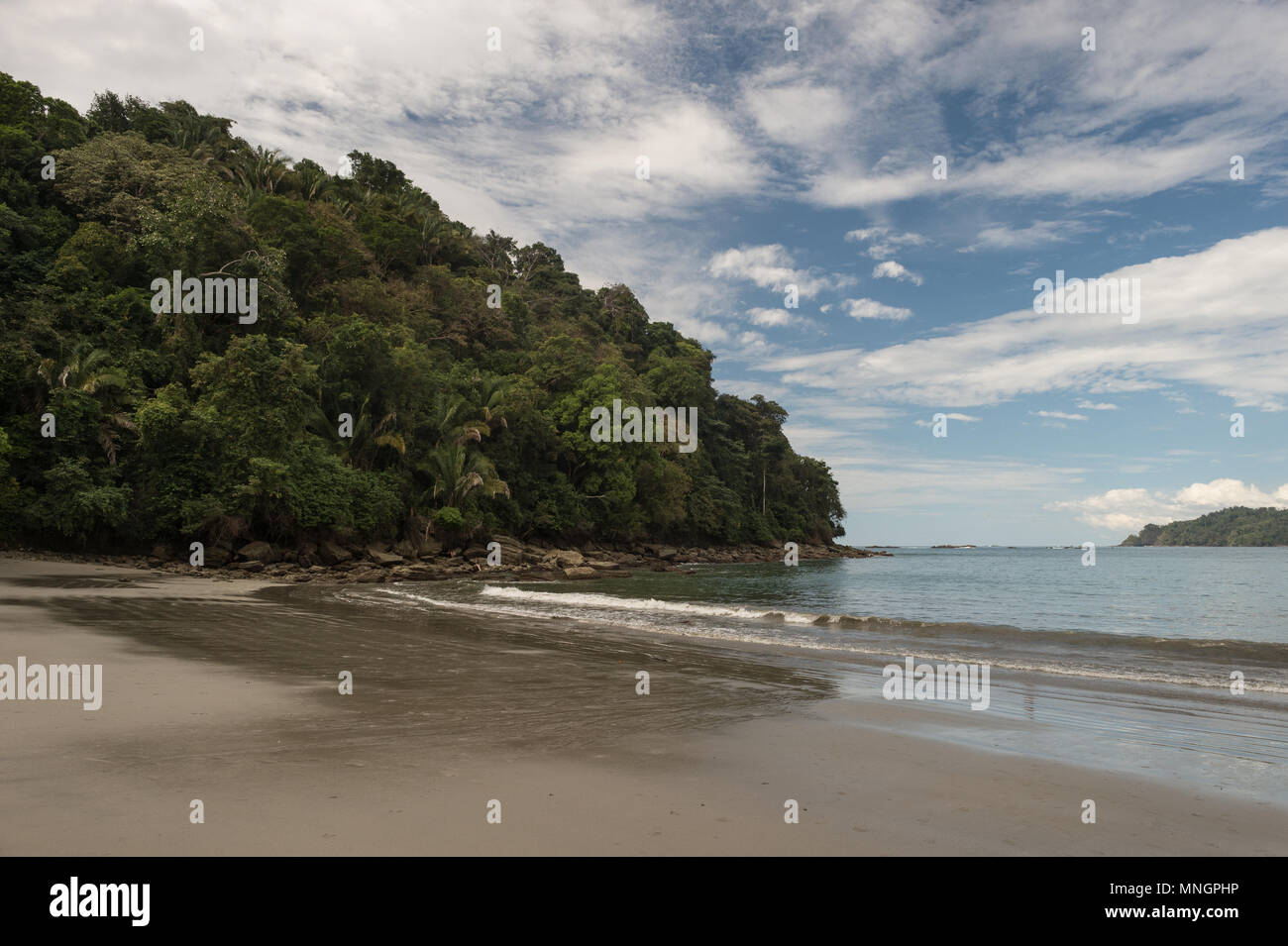 Manuel Antonio National Park, Costa Rica, Centroamerica Stockfoto
